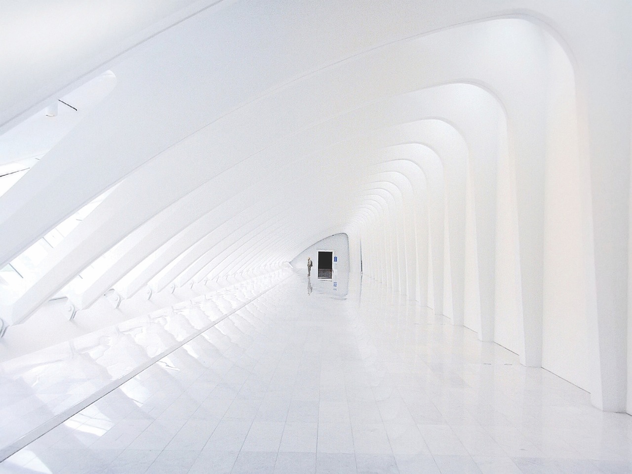 阿里云国际站实名账号：亳州粉象生活代理注册会员