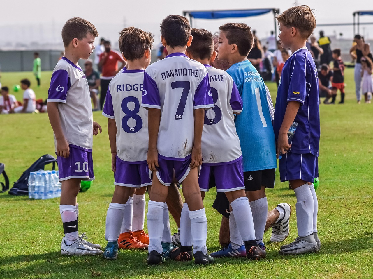 三五互联实名账号:查一个公司的开户行和账号