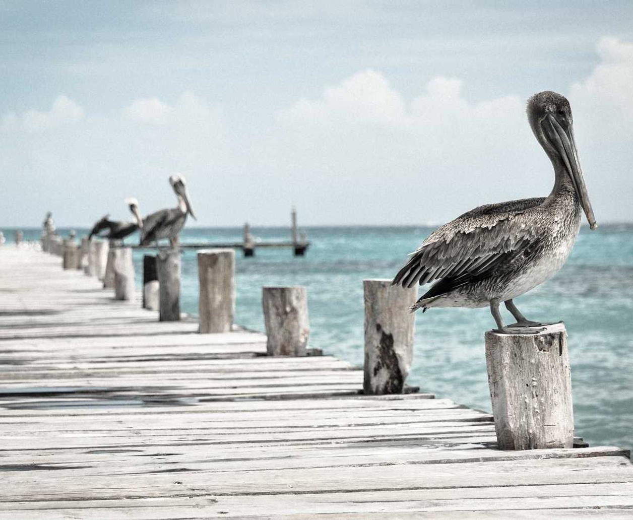 SEO的简单调整,带来大收获