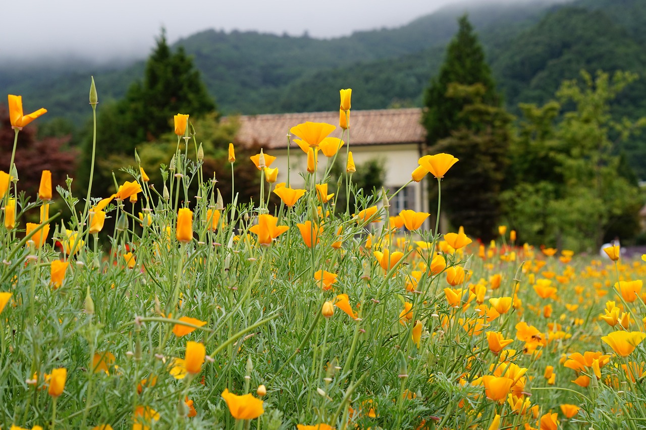 罐装珠港澳大桥:付呗代理商登录平台