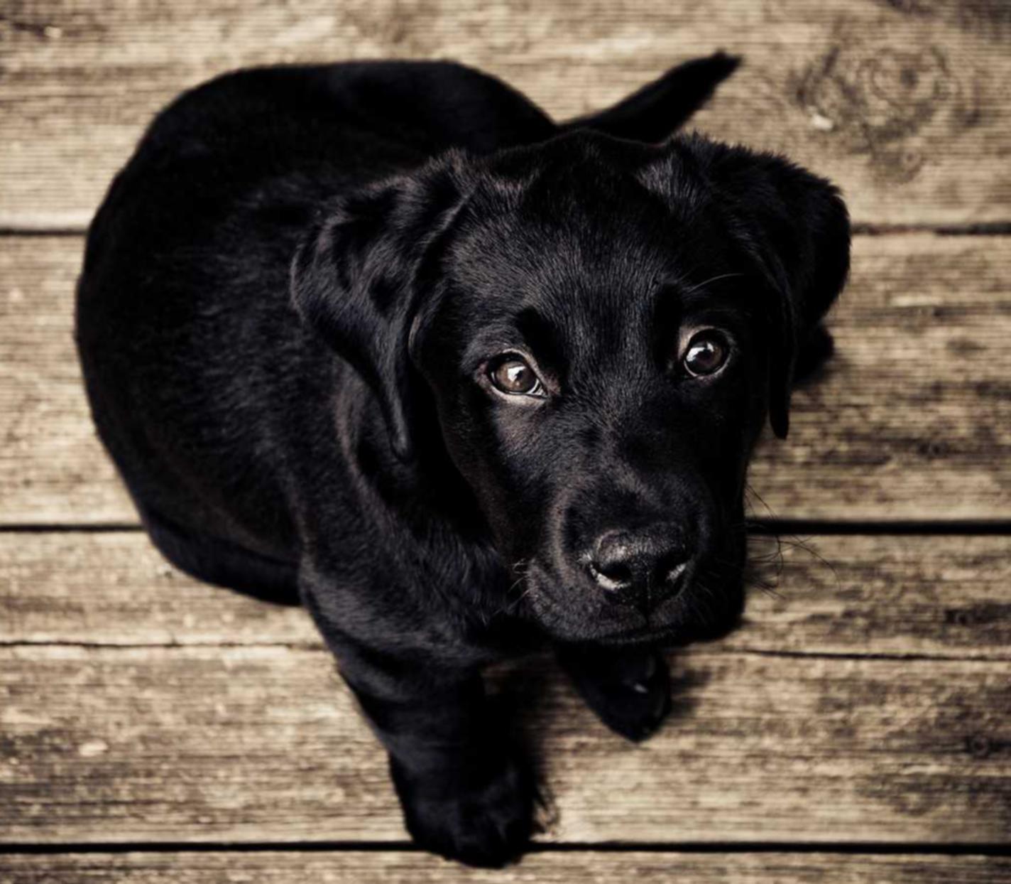 东方之珠奶茶爆珠：连云港防火墙购买平台